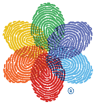 diversity equity and inclusion