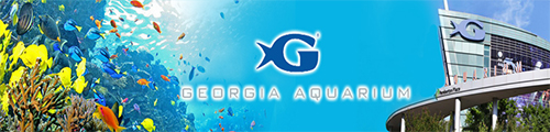 Georgia Aquarium