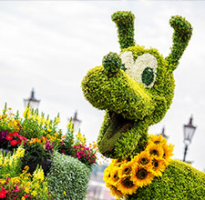 Epcot® International Flower & Garden Festival